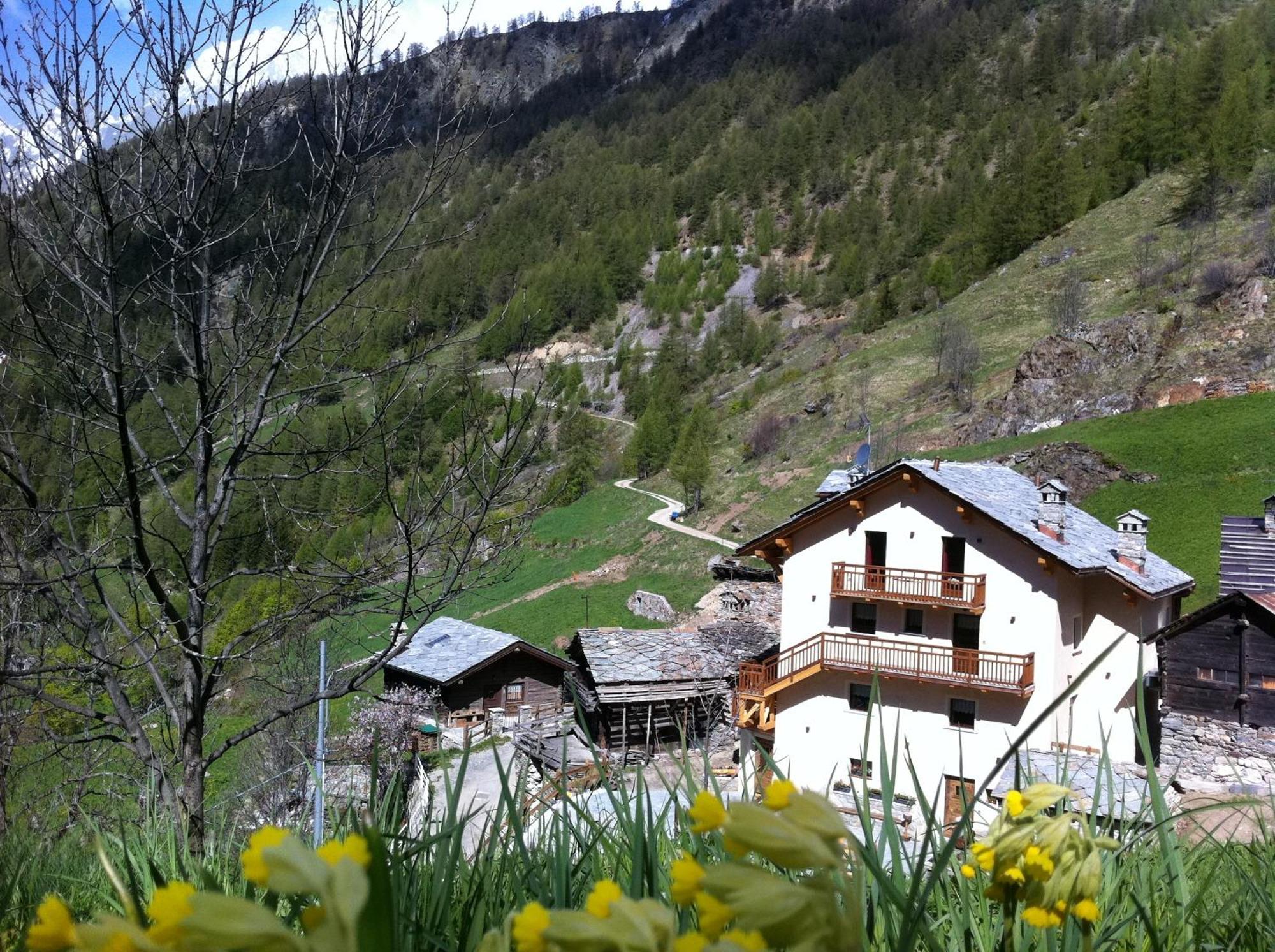 Bionaz Alpe Rebelle Bed & Breakfast エクステリア 写真